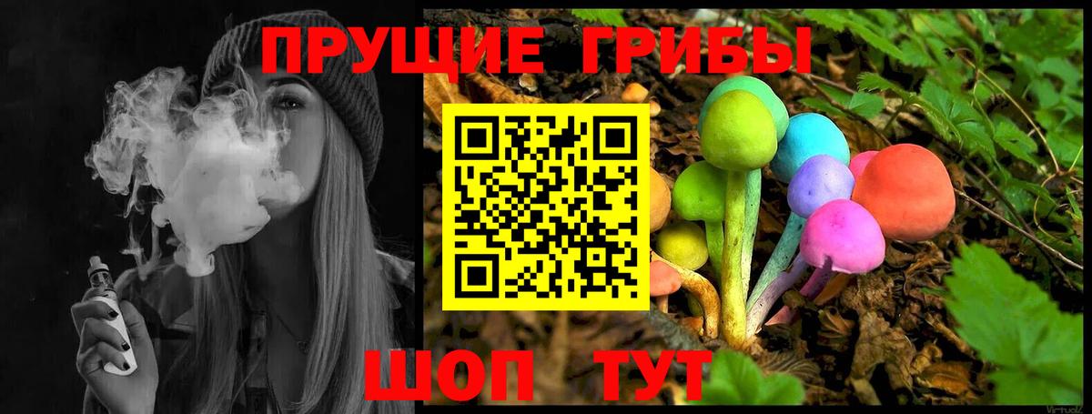 Псилоцибиновые грибы GOLDEN TEACHER  Псилоцибиновые грибы GOLDEN TEACHER  Вход с VPN  Менделеевск 